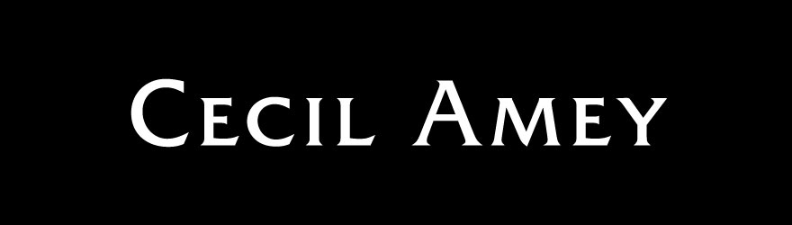 Cecil Amey logo designed by Solid Block