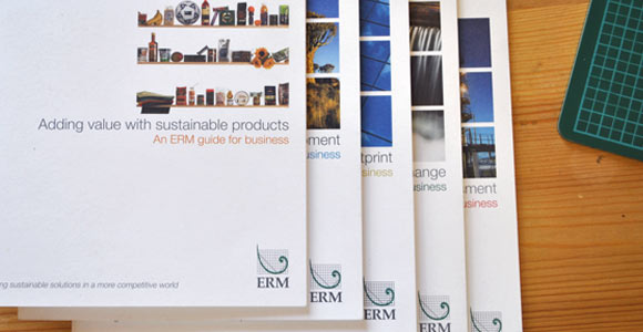The complete set of ERM guides