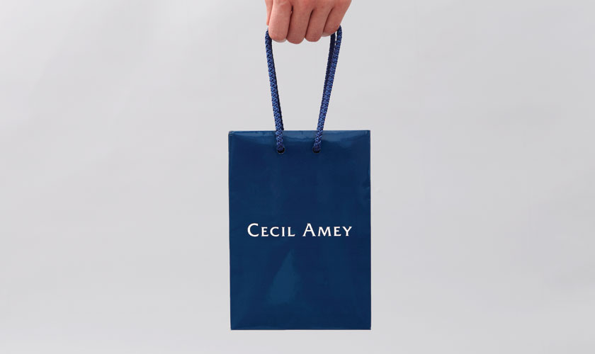 cecil-bag