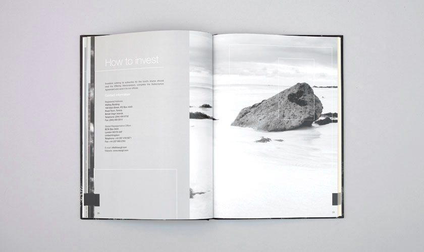 rcgf-brochure-spread-1 rcgf-brochure-spread-1
